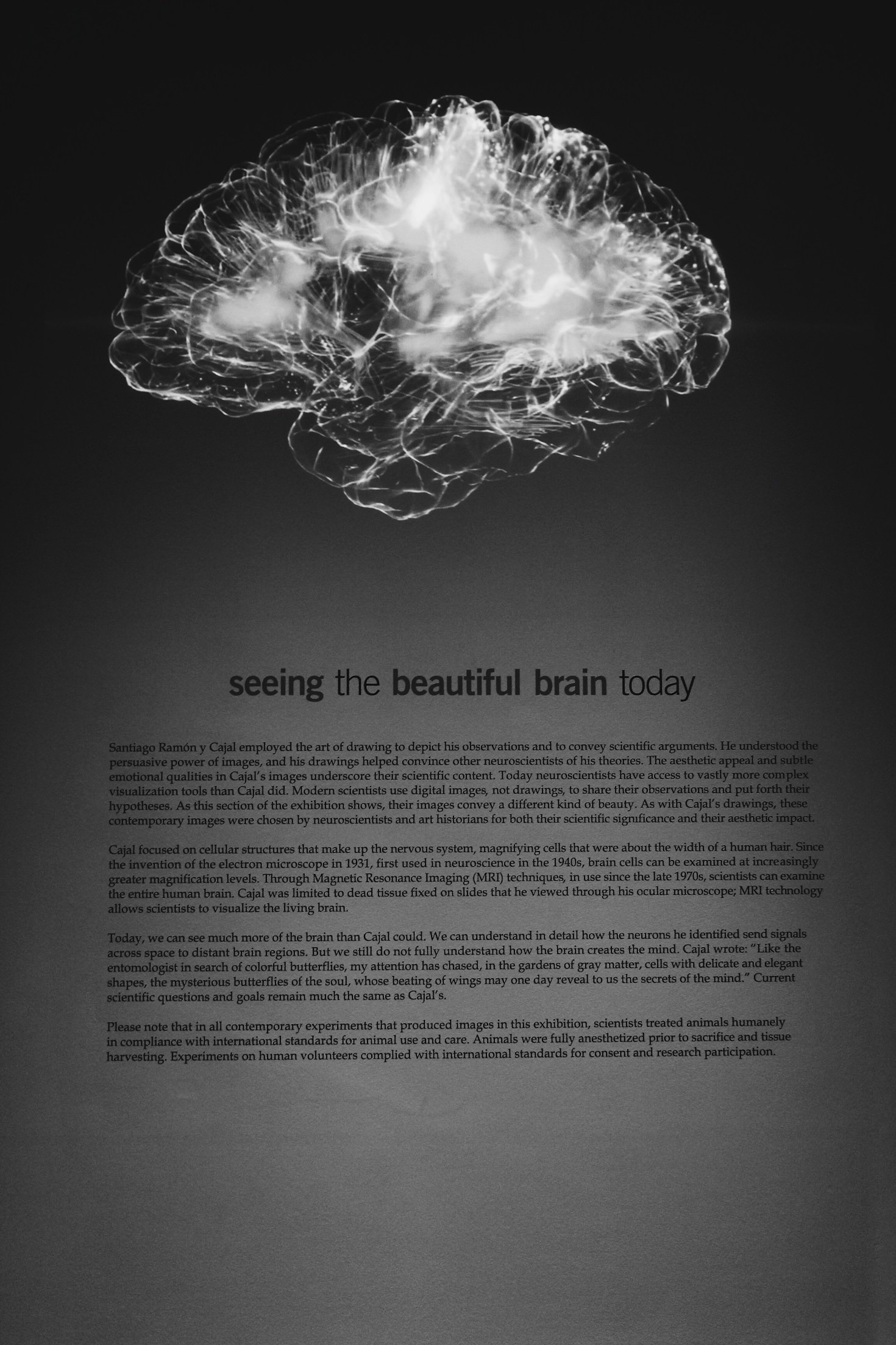 Exploring the Intersection of Psychology and Education