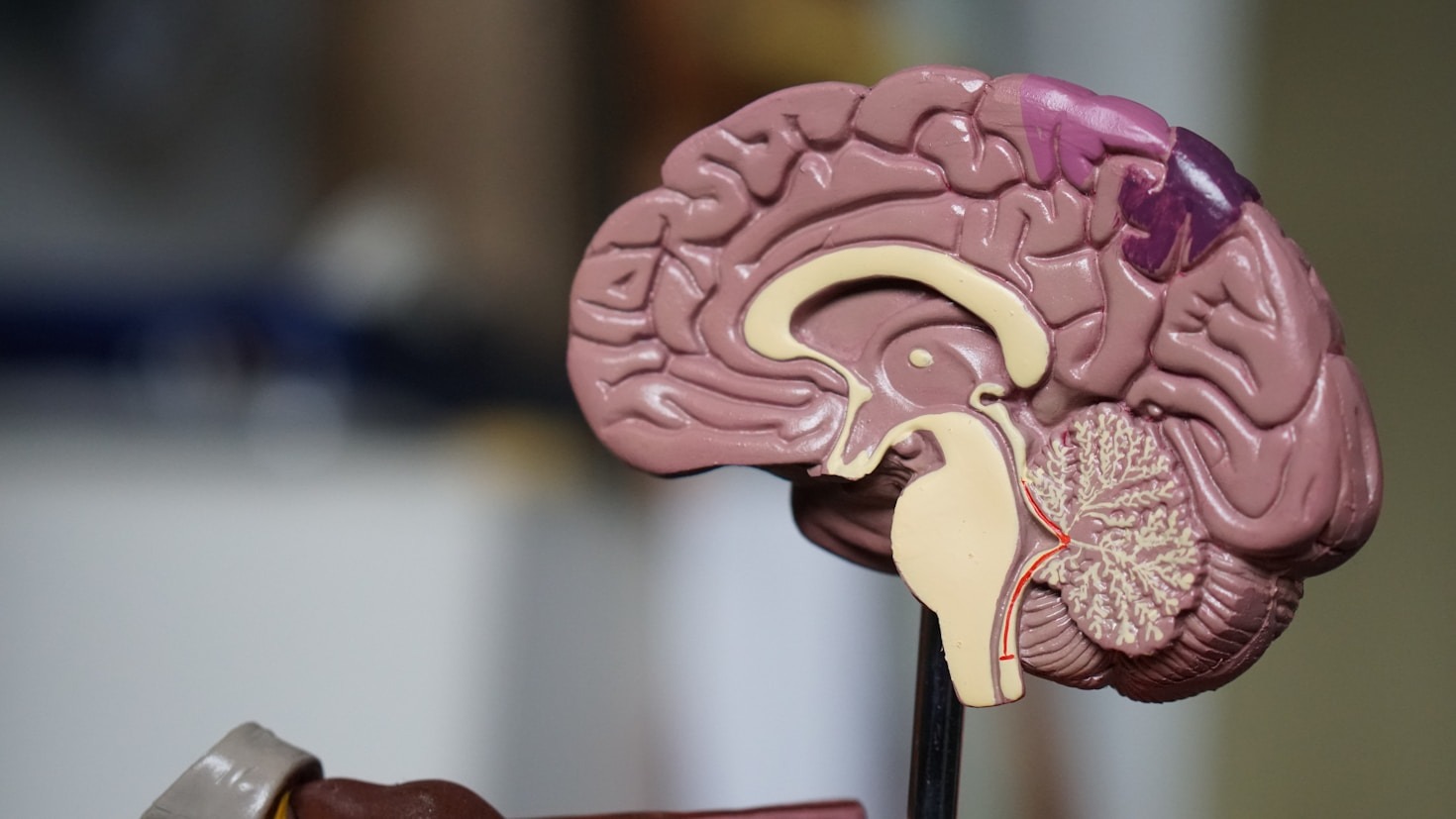 Self-Management Strategies Backed by Psychological Research
